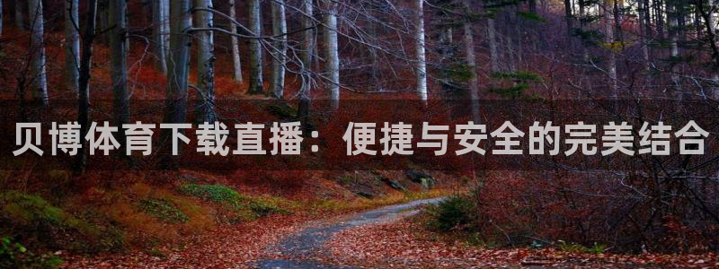 贝博体育下载直播：便捷与安全的完美结合