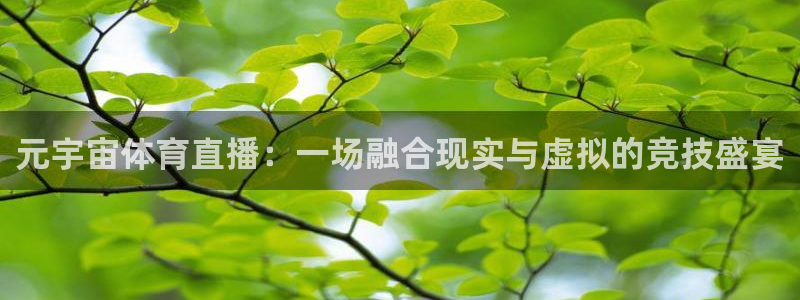 元宇宙体育直播：一场融合现实与虚拟的竞技盛宴