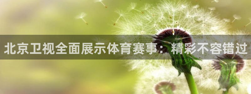 北京卫视全面展示体育赛事：精彩不容错过