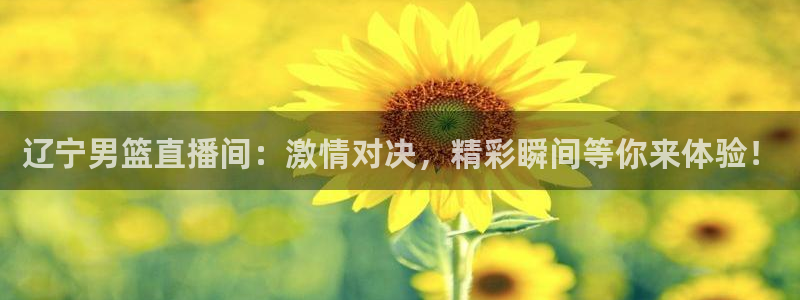 辽宁男篮直播间：激情对决，精彩瞬间等你来体验！