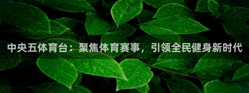 中央五体育台：聚焦体育赛事，引领全民健身新时代