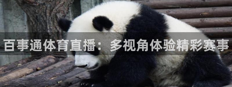 百事通体育直播：多视角体验精彩赛事