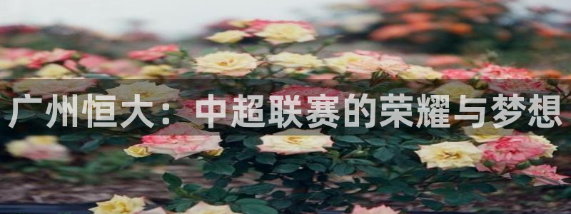 广州恒大：中超联赛的荣耀与梦想