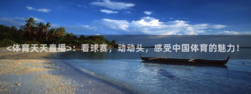 <体育天天直播>：看球赛，动动头，感受中国体育的魅力！