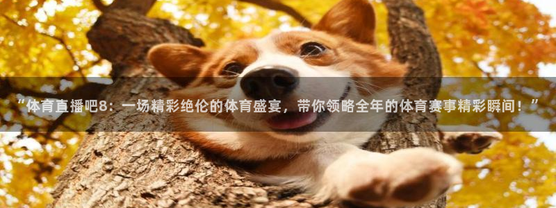 “体育直播吧8：一场精彩绝伦的体育盛宴，带你领略全年的体育赛事精彩瞬间！”