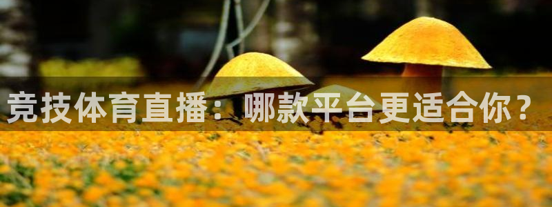 竞技体育直播：哪款平台更适合你？