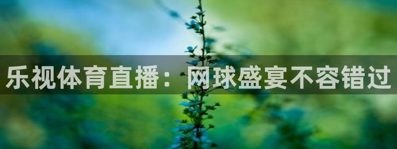 乐视体育直播：网球盛宴不容错过