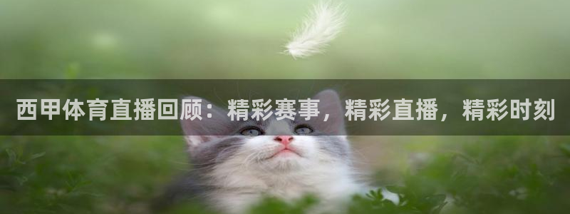 西甲体育直播回顾：精彩赛事，精彩直播，精彩时刻