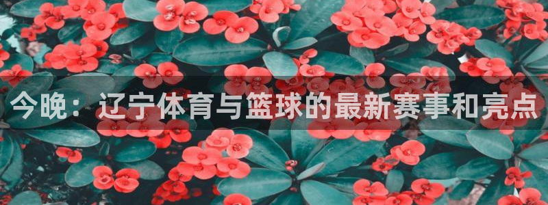 今晚：辽宁体育与篮球的最新赛事和亮点