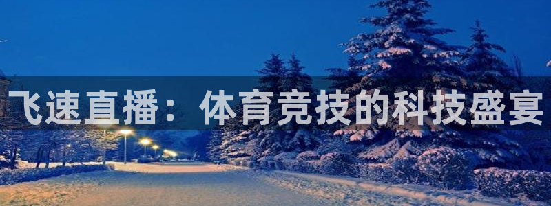 飞速直播：体育竞技的科技盛宴