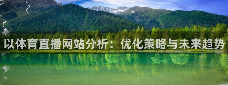 以体育直播网站分析：优化策略与未来趋势