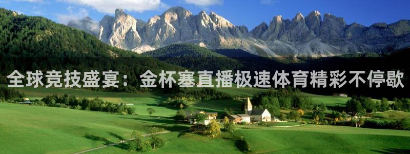 全球竞技盛宴：金杯塞直播极速体育精彩不停歇
