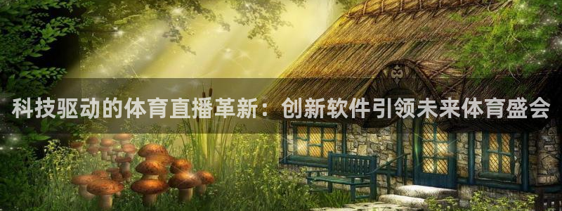 科技驱动的体育直播革新：创新软件引领未来体育盛会