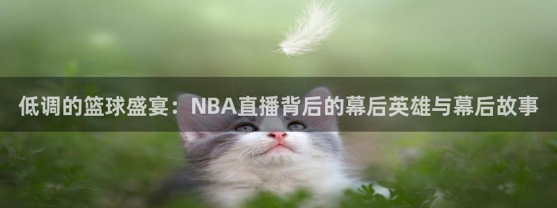 低调的篮球盛宴：NBA直播背后的幕后英雄与幕后故事