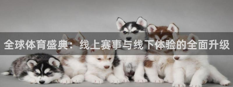 全球体育盛典：线上赛事与线下体验的全面升级