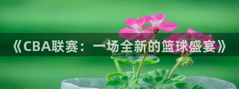 《CBA联赛：一场全新的篮球盛宴》