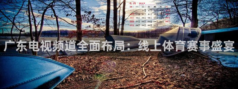 广东电视频道全面布局：线上体育赛事盛宴