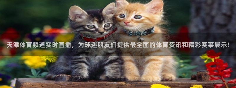 天津体育频道实时直播，为球迷朋友们提供最全面的体育资讯和精彩赛事展示!